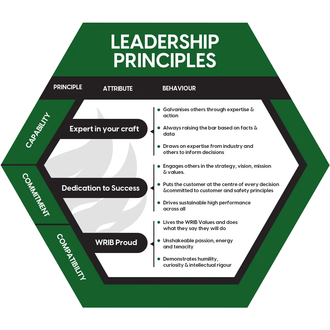 Leadership Principles Infographic