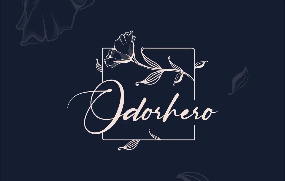 Project Preview
